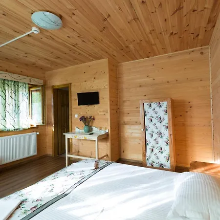 Pensiunea Balkan Expres Lodge *