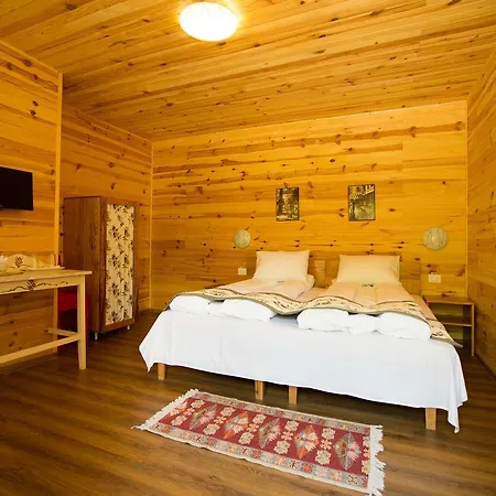 Lodge Pensiunea Balkan Expres Runcu (Gorj)