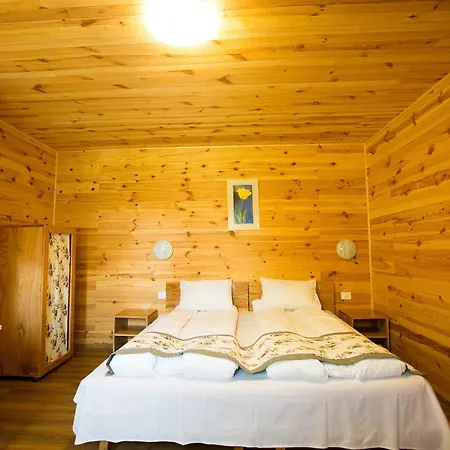 Pensiunea Balkan Expres Lodge Runcu (Gorj)