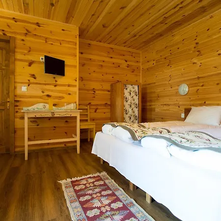 Pensiunea Balkan Expres Lodge Runcu (Gorj)