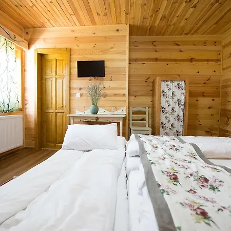 Pensiunea Balkan Expres Lodge *