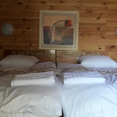 Pensiunea Balkan Expres Lodge